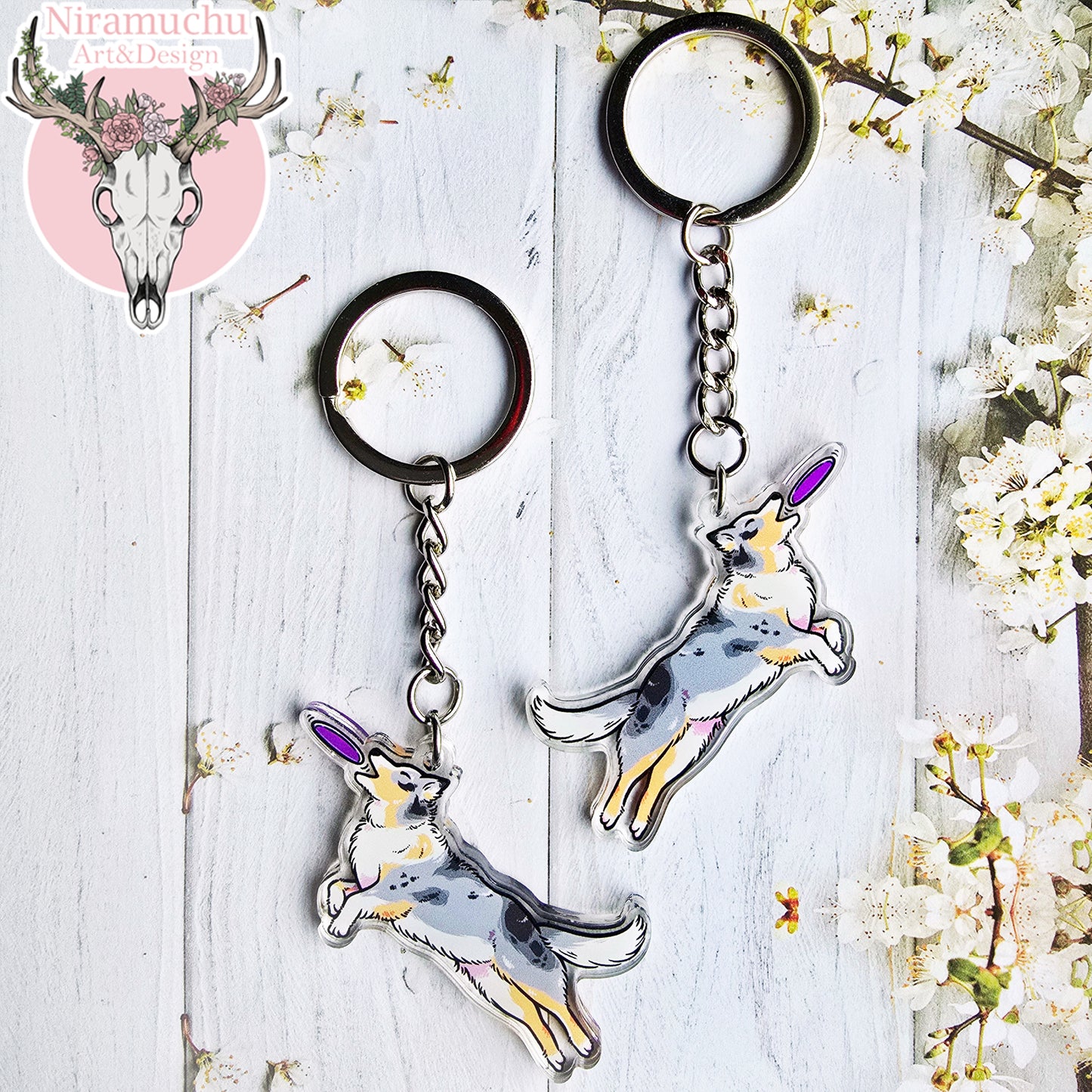 Treenikupla Australian Paimenkoira Avaimenperä