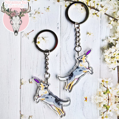 Treenikupla Australian Paimenkoira Avaimenperä