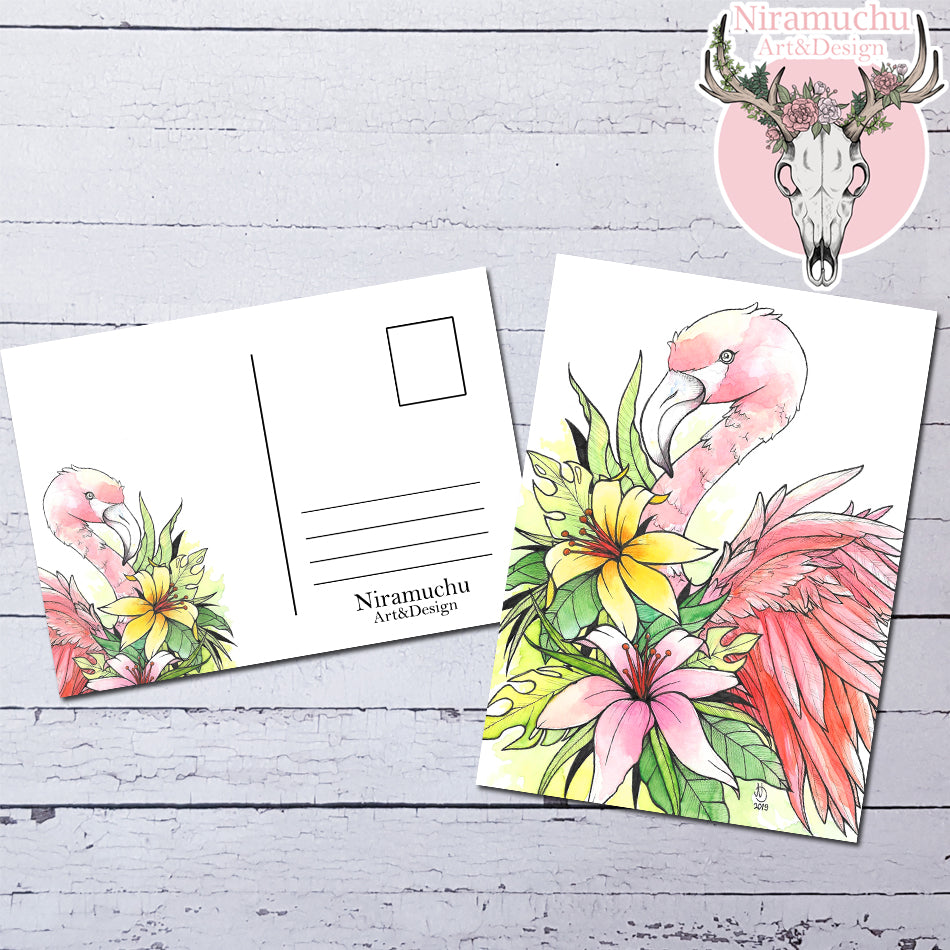 Tropical Birds: Postcard Set