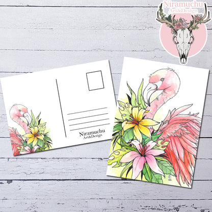 Tropical Birds: Postcard Set