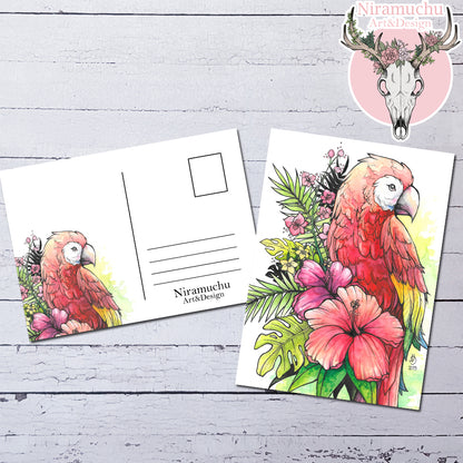 Tropical Birds: Postcard Set