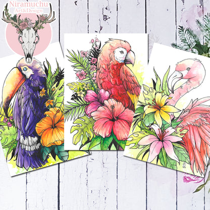 Tropical Birds: Postcard Set