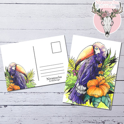 Tropical Birds: Postcard Set